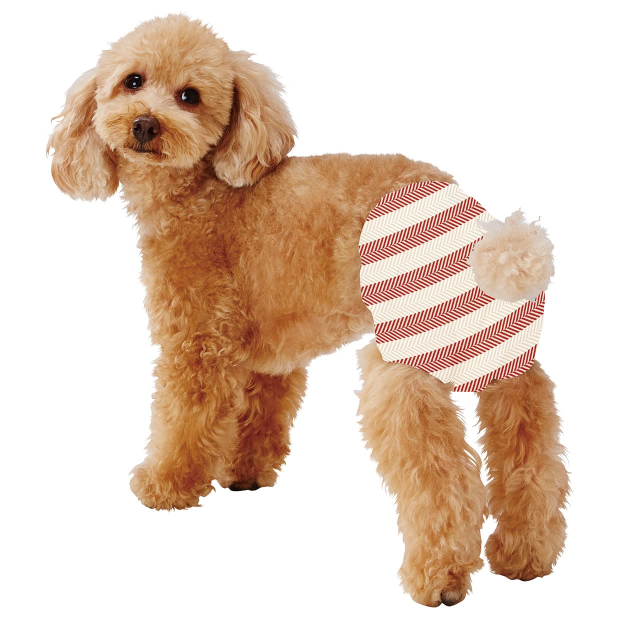 Amazon | ペティオ (Petio) 犬用オムツ フレス たっぷり吸収する